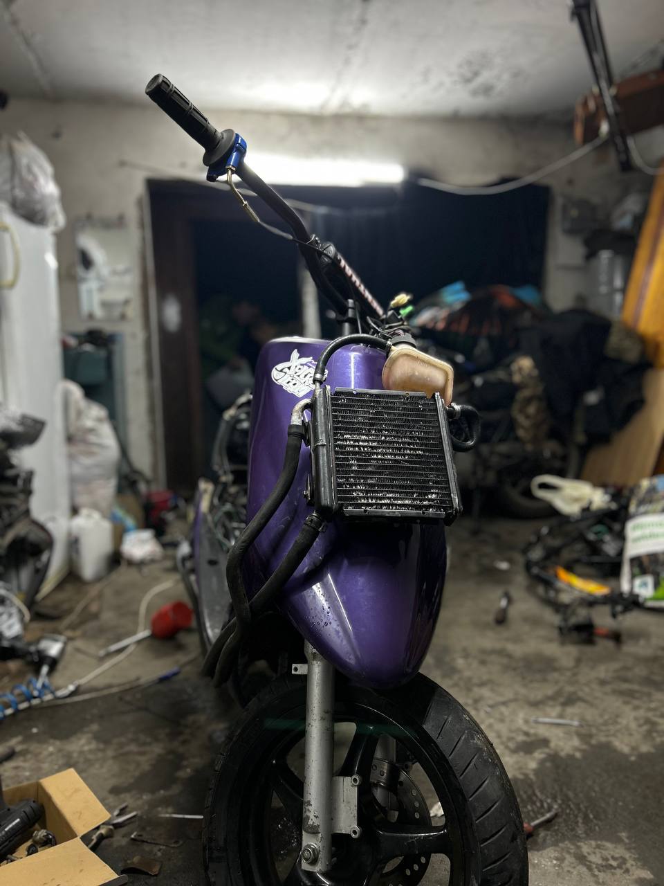 рокси катки 