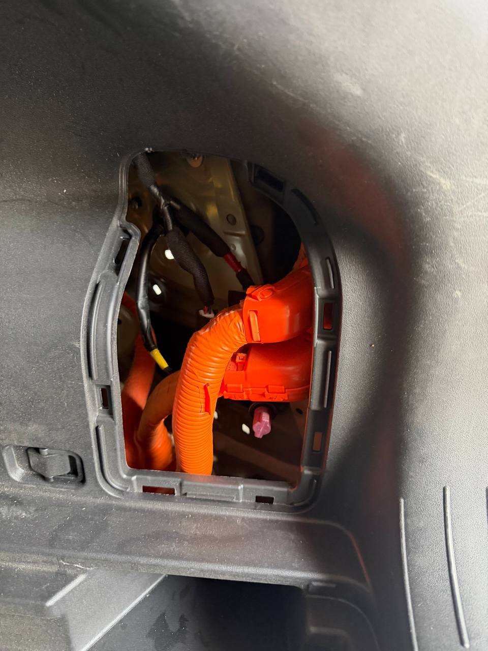 деталь із зображення 