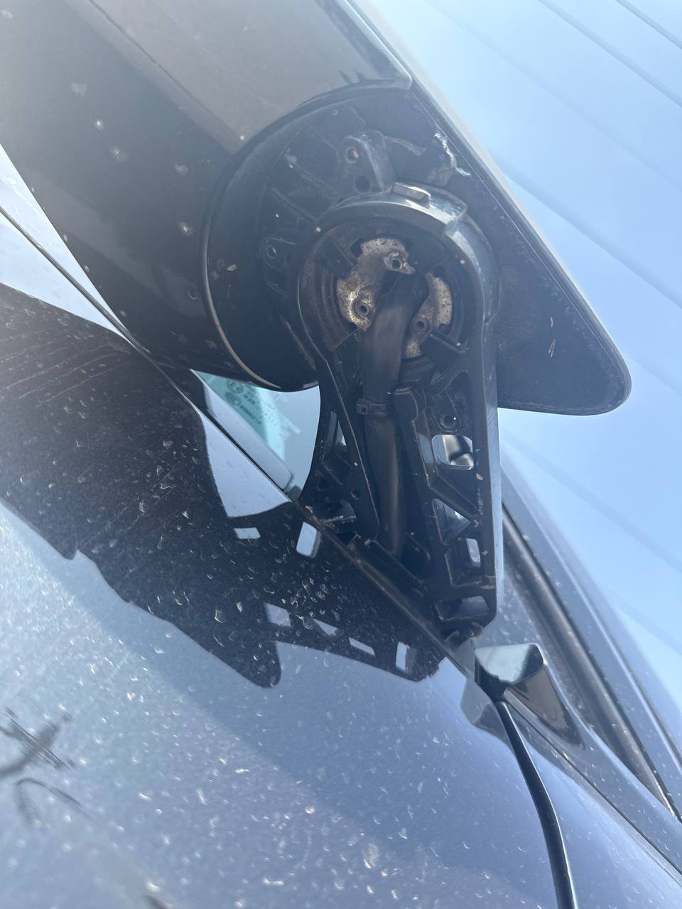 деталь із зображення 