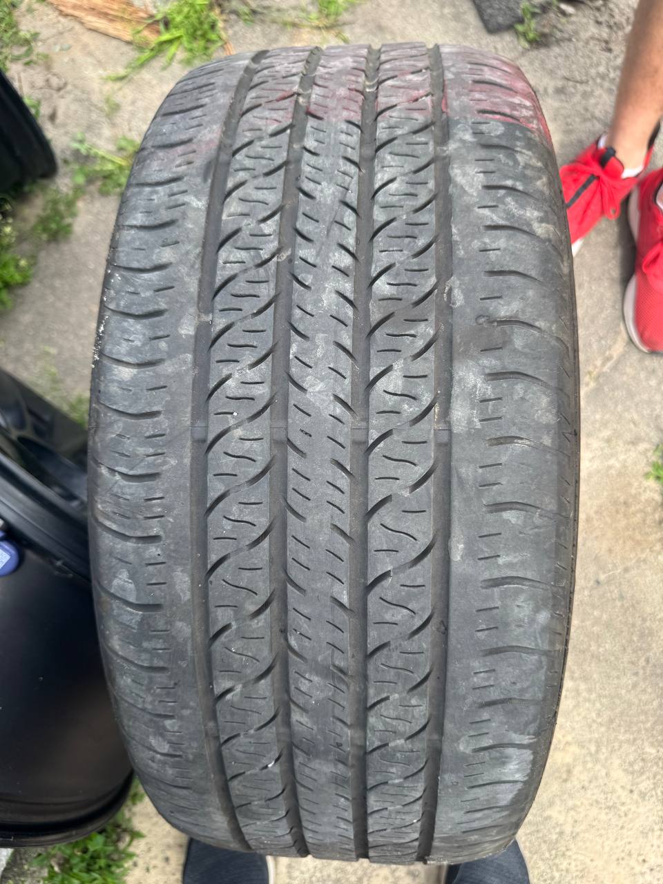 Купити шина Continental ProContact RX 255/45/R19 Tesla 